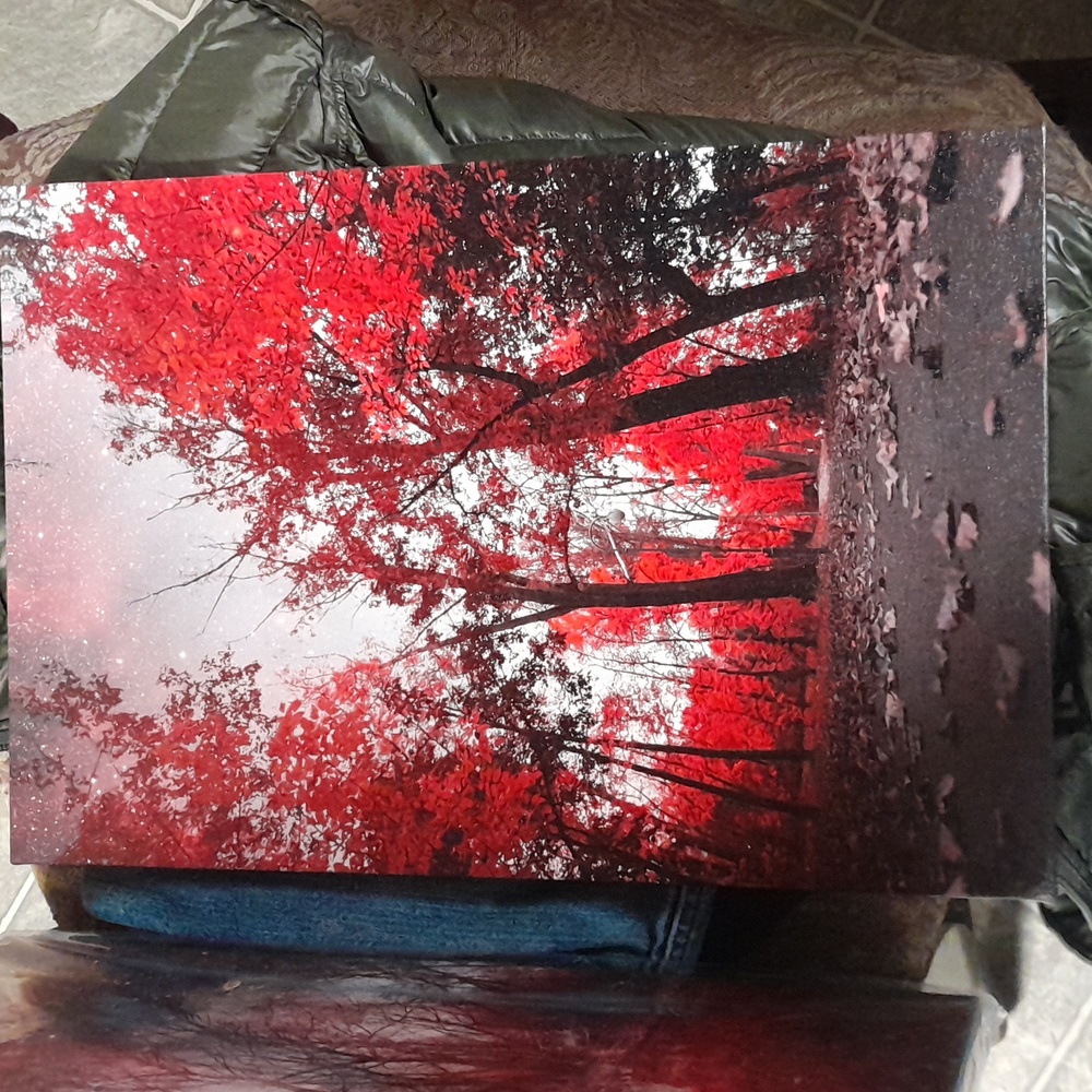 Red forest printed canvas picture